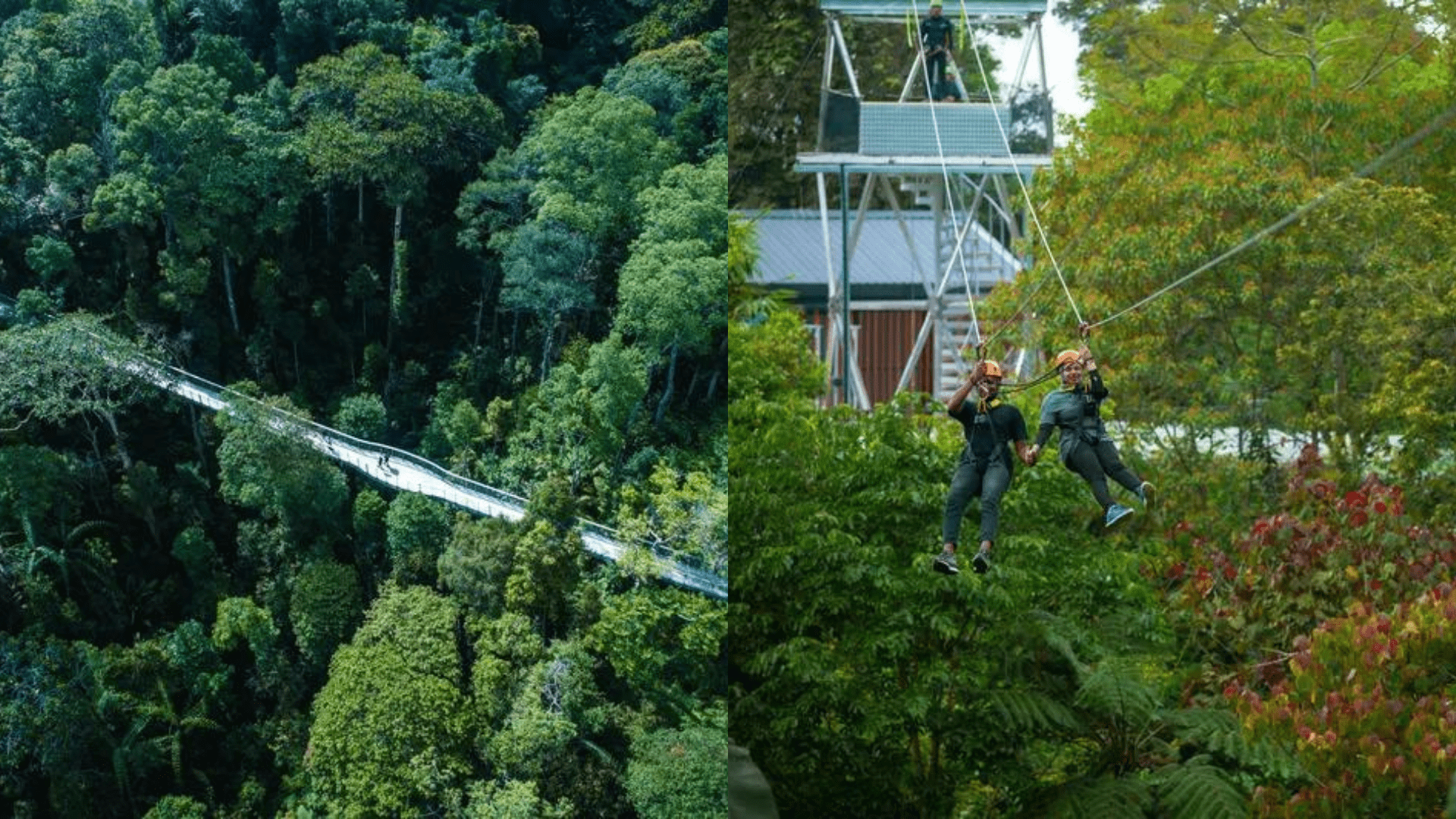 things to do in penang The Habitat Penang Hill